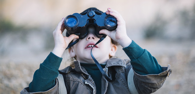 Exploring the Ideal Way to Find a Right Household Shifting Service Provider.