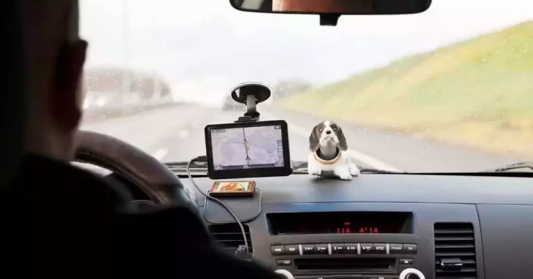 importance of GPS in transport industry