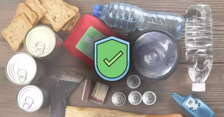 How to Protect Delicate Items against Damage During Shifting?