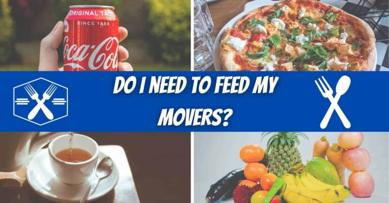 Do I need to feed my movers?