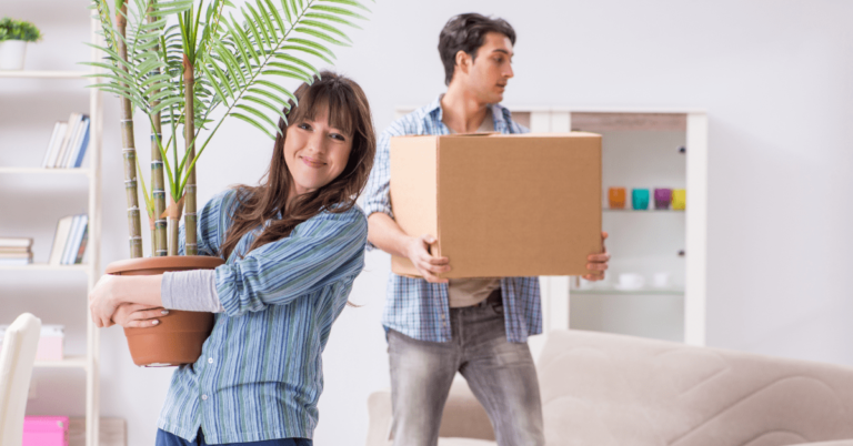 Top 10 Tips for National and International Shifting