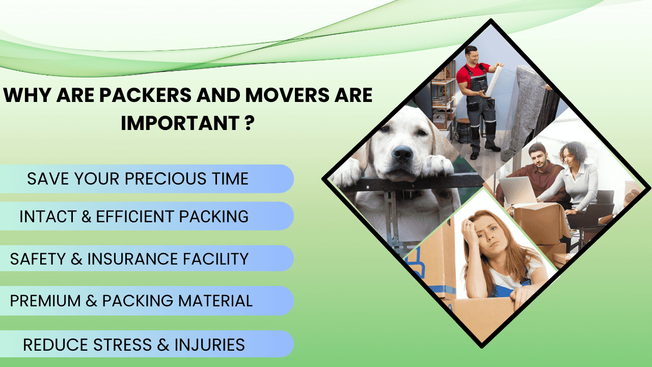 information about why packers movers important